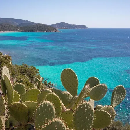 La Terrazza Poetto 2 Passi Dalla